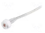 Probe light; 5m ZAMEL
