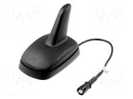 Antenna; SHARK; AM,FM; RAKU II female; 2dB; 5dB; black 4CARMEDIA