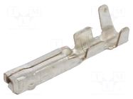 Contact; female; E-Seal 560,E-Seal 565; phosphor bronze; tinned EDAC