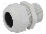 Cable gland; NPT1"; IP68; polyamide; light grey; UL94V-0; HSK-K HUMMEL