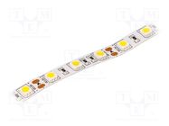 LED tape; white warm; 5050; 12V; LED/m: 60; 10mm; IP20; 120°; 14.4W/m LUCKYLIGHT