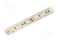 LED tape; white warm; 5050; 12V; LED/m: 60; IP65; 120°; 14.4W/m; 50mm LUCKYLIGHT