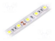 LED tape; white cold; 5050; 12V; LED/m: 60; IP65; 120°; 14.4W/m; 50mm LUCKYLIGHT