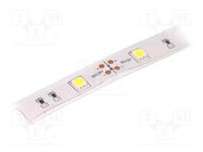 LED tape; white cold; 5050; LED/m: 30; 14.36mm; IP65; 120°; 7.2W/m LUCKYLIGHT