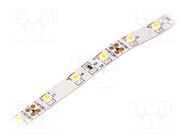 LED tape; white warm; 3528; LED/m: 60; 8mm; IP20; 120°; 4.8W/m; 12VDC LUCKYLIGHT