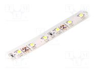 LED tape; white cold; 3528; LED/m: 60; 10mm; IP65; 120°; 4.8W/m LUCKYLIGHT