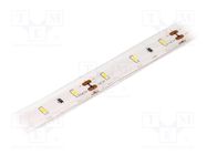 LED tape; white warm; 3014; LED/m: 60; 10mm; IP68; 120°; 6W/m; 12VDC LUCKYLIGHT