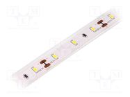 LED tape; white warm; 3014; LED/m: 60; 10mm; IP65; 120°; 6W/m; 12VDC LUCKYLIGHT