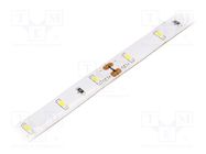 LED tape; white warm; 3014; 12V; LED/m: 60; 8mm; IP54; 120°; 6W/m LUCKYLIGHT