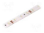 LED tape; white cold; 3014; LED/m: 60; 10mm; IP68; 120°; 6W/m; 12VDC LUCKYLIGHT