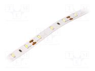 LED tape; white cold; 3014; LED/m: 60; 8mm; IP20; 120°; 6W/m; 12VDC LUCKYLIGHT