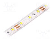 LED tape; white warm; 2835; LED/m: 60; 10mm; IP68; 120°; 4W/m; 12VDC LUCKYLIGHT