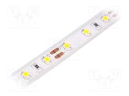 LED tape; white warm; 2835; LED/m: 60; 10mm; IP65; 120°; 12W/m; 12VDC LUCKYLIGHT