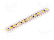 LED tape; white warm; 2835; LED/m: 120; 10mm; IP65; 120°; 6W/m; 12VDC LUCKYLIGHT