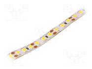 LED tape; white warm; 2835; LED/m: 120; 8mm; IP20; 120°; 6W/m; 12VDC LUCKYLIGHT