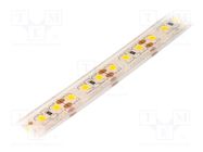 LED tape; white warm; 2835; LED/m: 120; 10mm; IP68; 120°; 6W/m; 12VDC LUCKYLIGHT