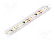 LED tape; white cold; 2835; LED/m: 120; 10mm; IP65; 120°; 6W/m; 12VDC LUCKYLIGHT