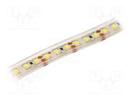 LED tape; white cold; 2835; LED/m: 120; 10mm; IP68; 120°; 6W/m; 12VDC LUCKYLIGHT