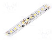 LED tape; white neutral; 3528; LED/m: 120; 12mm; IP20; 120°; 9.6W/m Ledxon