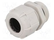 Cable gland; PG21; IP68; polyamide; grey; UL94V-2 BM GROUP