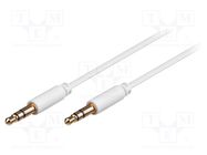 Cable; Jack 3.5mm 3pin plug,both sides; 1m; Plating: gold-plated Goobay