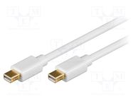 Cable; DisplayPort 1.2; mini DisplayPort plug,both sides; 1m Goobay