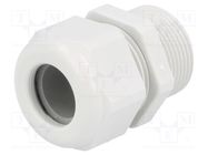 Cable gland; with long thread; PG21; IP68; polyamide; light grey HUMMEL