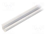 Profiles for LED modules; white; L: 1m; DEEP10; aluminium TOPMET