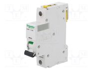 Circuit breaker; 230VAC; Inom: 0.5A; Poles: 1; Charact: C; 6kA; IP20 SCHNEIDER ELECTRIC