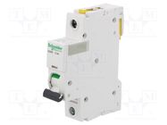 Circuit breaker; 230VAC; Inom: 6A; Poles: 1; for DIN rail mounting SCHNEIDER ELECTRIC