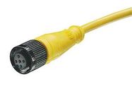 SENSOR CORD, 4P, M12 RCPT-FREE END, 4M