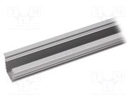 Profiles for LED modules; natural; L: 2m; DEEP10; aluminium TOPMET