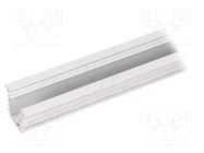 Profiles for LED modules; white; L: 2m; DEEP10; aluminium TOPMET