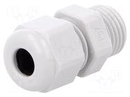 Cable gland; PG7; IP54; polyamide; light grey; UL94V-0; HSK-K HUMMEL