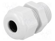 Cable gland; PG9; IP68; polyamide; light grey; UL94V-0; HSK-K HUMMEL