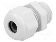 Cable gland; PG9; IP68; polyamide; light grey; UL94V-0; HSK-K HUMMEL