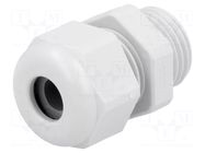 Cable gland; PG9; IP54; polyamide; light grey; UL94V-0; HSK-K HUMMEL