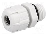 Cable gland; PG7; IP68; polyamide; grey; UL94V-2 BM GROUP