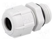 Cable gland; PG9; IP68; polyamide; grey; UL94V-2 BM GROUP