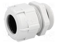 Cable gland; PG29; IP68; polyamide; grey; UL94V-2 BM GROUP