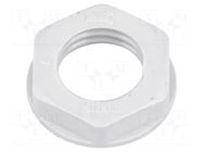 Nut; M12; polyamide; 17mm; grey; Pitch: 1.5 BM GROUP
