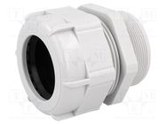 Cable gland; M50; 1.5; IP68; polyamide; grey; UL94V-2 BM GROUP