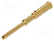 Contact; male; gold-plated; 0.75mm2; grounding contact; crimped HARTING