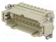 Connector: HDC; contact insert; male; Han® Ex; PIN: 16; 16+PE; 16A HARTING