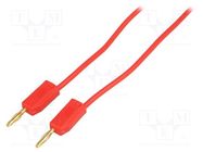 Test lead; banana plug 2mm,both sides; Len: 1m; red 