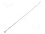 Cable tie; L: 203mm; W: 2.4mm; polyamide; 80N; natural; Ømax: 50mm ABB