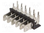 Terminal: spade terminal strip; 6.4mm; 0.8mm; THT; steel; tinned KEYSTONE