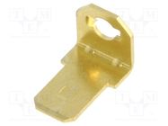 Terminal: flat; 4.8mm; 0.5mm; male; M2,5; screw; brass; angled 90° KEYSTONE