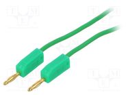 Test lead; banana plug 2mm,both sides; Len: 1m; green 