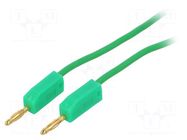 Test lead; banana plug 2mm,both sides; Len: 1m; green AXIOMET